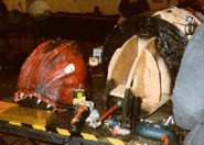 Torque of the Devil in the pits