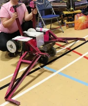 2HeadedDeathFlamingo