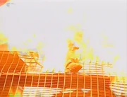 Verminator, placed on the Flame Pit