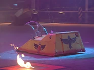 Plunderbird 4 in the arena