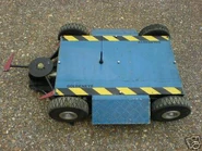 Top view of Golden Eye