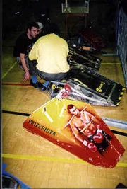 Prizephita cassius 2000