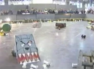 Mastiff during a live demonstration