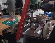 Skarab without its shell