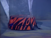 Tender Caress from the front, during its introduction