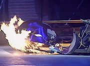 Rattus Rattus, with its shell dislodged, on the Flame Pit