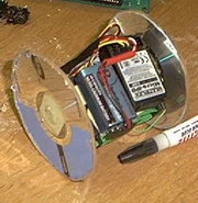 RANT, Team Ixion's first antweight