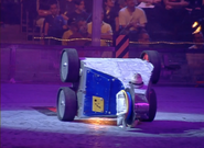 Pussycat in the arena during the Celebrity Special
