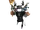 MatrixRW