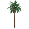 IndusTree-Large Palm Tree