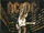 AC DC - Stiff Upper Lip