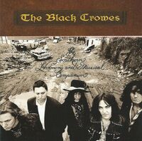 BlackCrowes, Southern