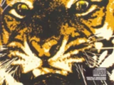 Eye of the Tiger