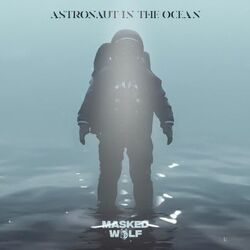 Our last night astronaut in the ocean