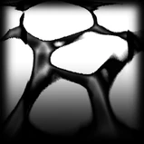 Spectre Nitro Series Player's Choice Series