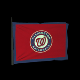 Washington Nationals