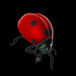 Lucky Ladybug antenna icon
