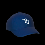 Tampa Bay Rays topper icon