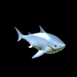 Great White (Tier 12)