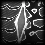 C-weed decal icon