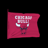 Chicago Bulls