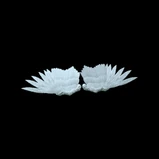 Angel Wings (35)