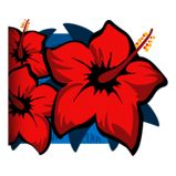 Hibiscus player banner icon