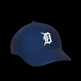 Detroit Tigers