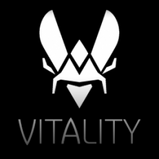 Team Vitality decal icon