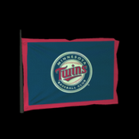 Minnesota Twins