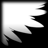 Wings decal icon