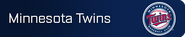 Minnesota Twins player banner icon