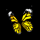 Butterfly topper icon