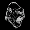 Kong