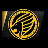 Pittsburgh Knights