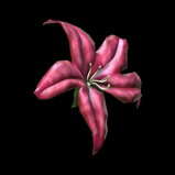 Flower - Orchid antenna icon
