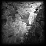 Stride Tide Dorado Series