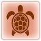 Sea turtle-trophy