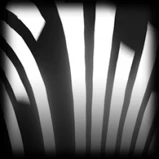 Streamline Impact Series