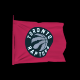 Toronto Raptors antenna icon