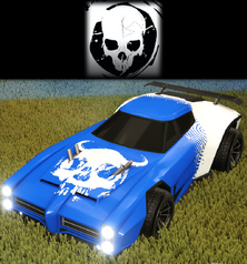 Skulls decal.