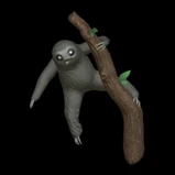 Little Sloth