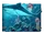 Aquarium player banner icon.png