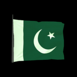 Pakistan antenna icon