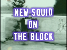 New-squid-on-the-block.png