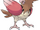 Spearow