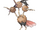 Dodrio