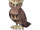 Noctowl