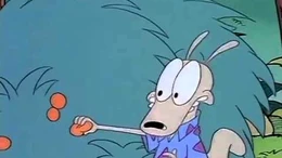 Rocko_picking_berries_HQ