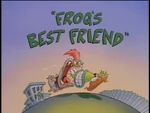 Frogs Best Friend